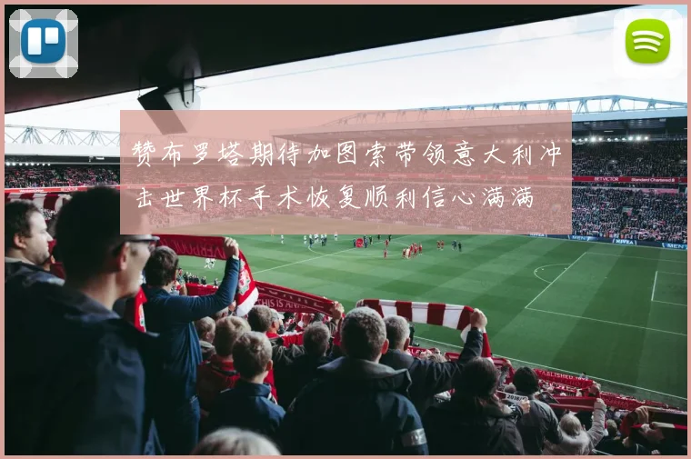 赞布罗塔期待加图索带领意大利冲击世界杯手术恢复顺利信心满满